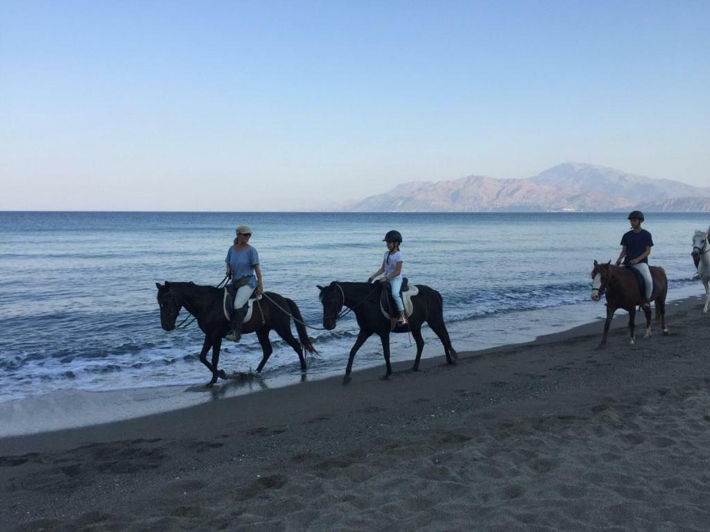Kritikies Kydonia Villa Pitsidia Bagian luar foto