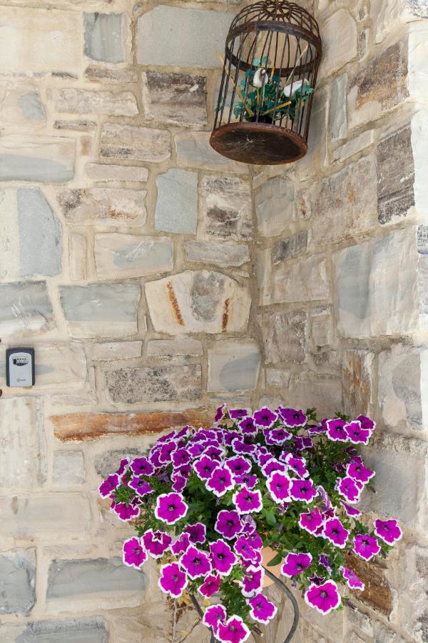 Kritikies Kydonia Villa Pitsidia Bagian luar foto